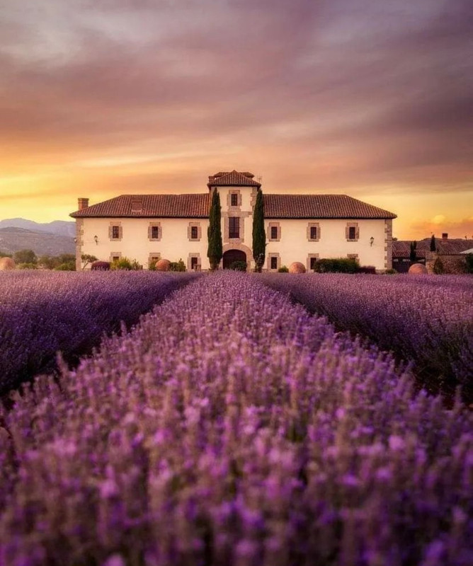 Screenshot_20240419_230302_Threads