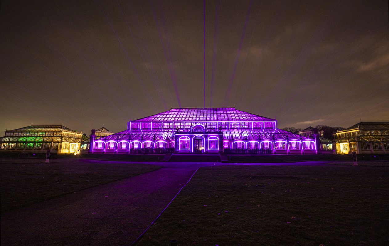 purplekewgardens.jpg
