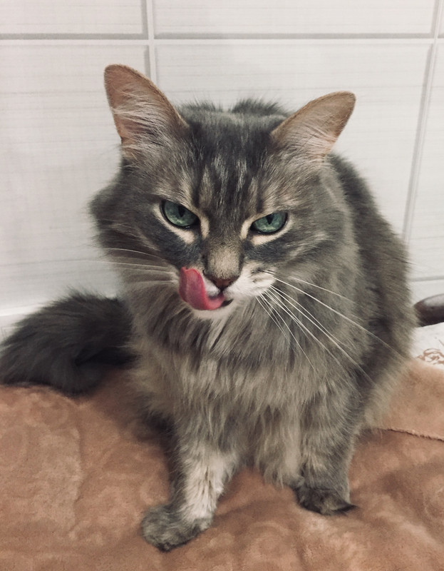 DC62E919-6AF9-4126-AD88-75870DF9AAE1