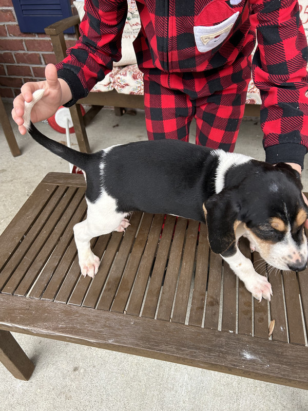 6A685A3A-2092-415E-866A-BA570DC9D65C