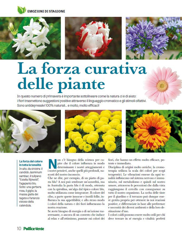 Pol Ver Apr 2026 (7)