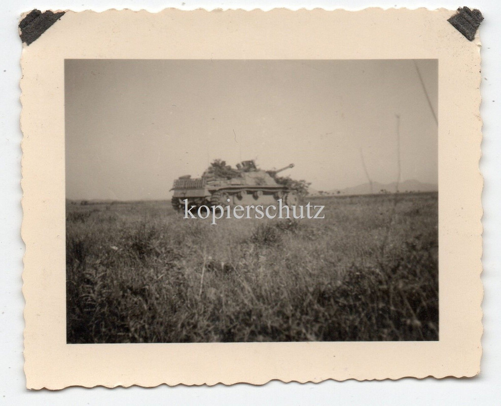 Russland DEutscher Panzer Tank Sturmgeschütz Langrohr Tarn Camo