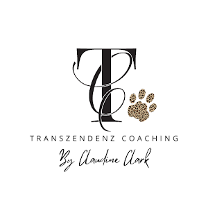  Transzendenz Coaching