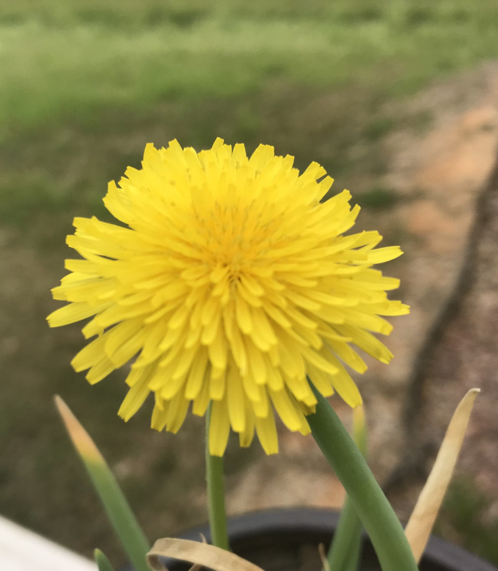 DB2612A4-7BE2-4E56-A4E1-503708BFAA2A