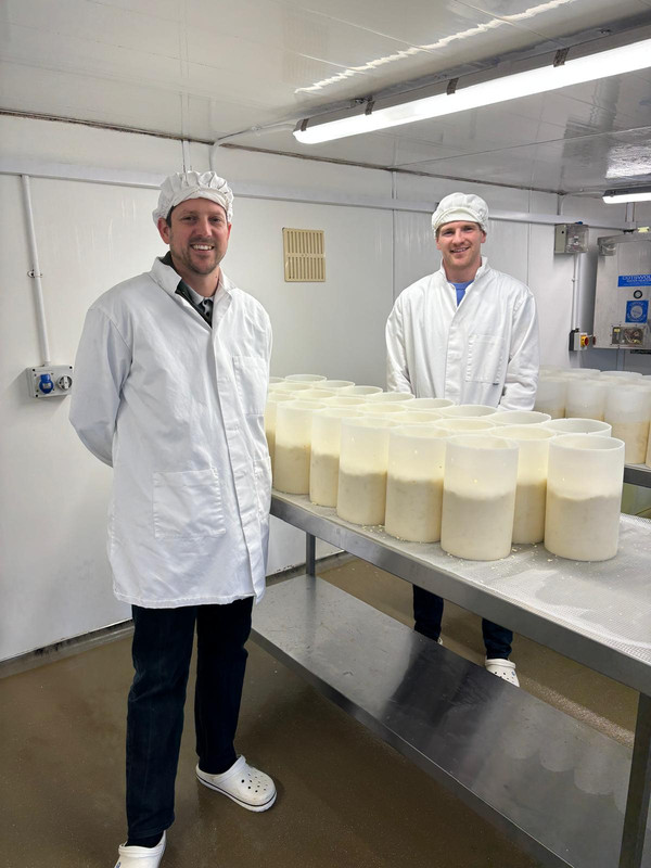 Curd and Cure
