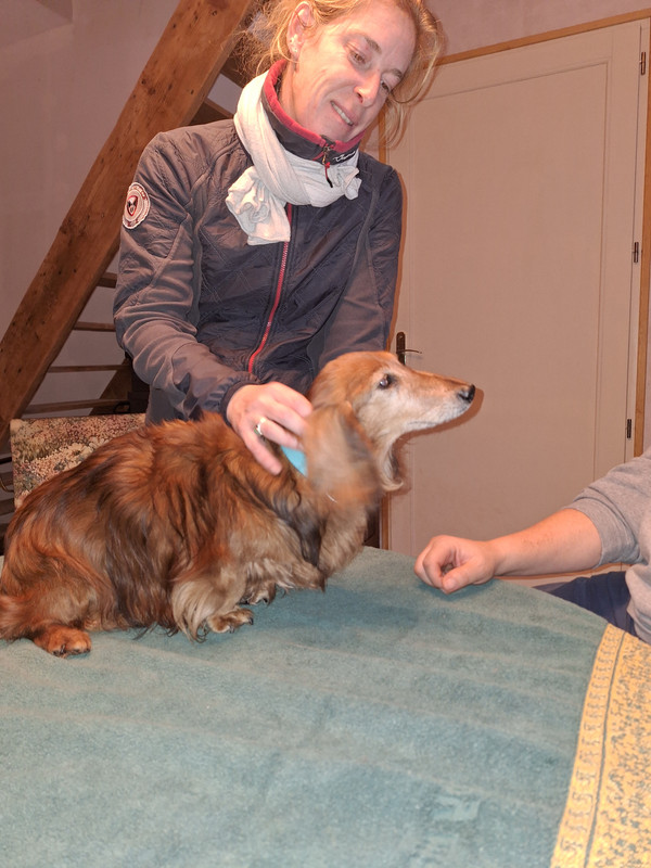 [Image: 20231129-170855.jpg]