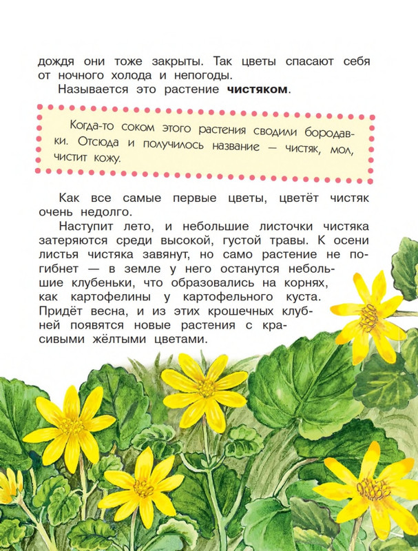 Onegov-Anatolij-Pochemu-kukushka-slozki-lot-page-0006