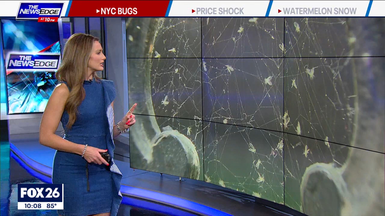 07.01 - 04.00.01 - The News Edge at 10pm  ᴺᵉʷ. Nighttime news coverag....ts_snapshot_29.32.358