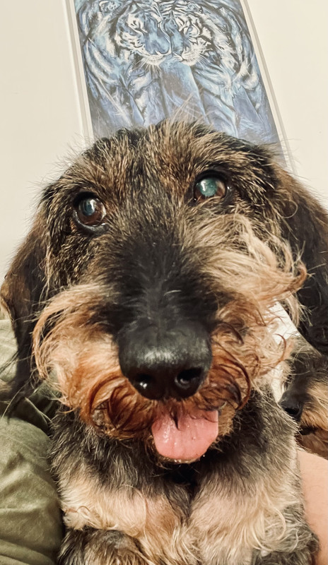 [Image: IMG-1456.jpg]