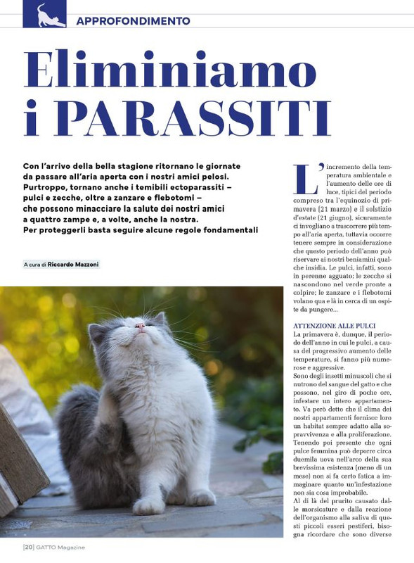 Ga Ma Apr-Mag 2025 (1)