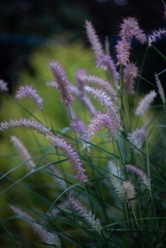 IMG-e03d0c5fa3fe71c589640ae196ba3edd-V