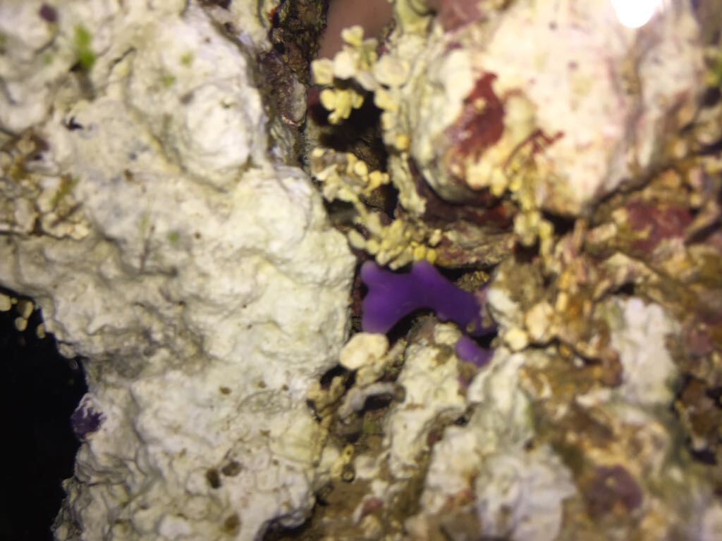 B573B6DC-5197-4C5D-8343-DD414CE6BF73