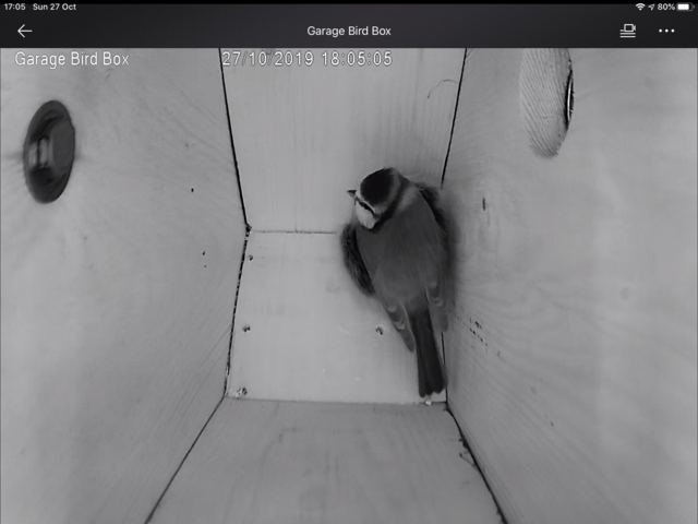 5928F6F2-9927-4DE6-8EB7-BD0839C0BB7E