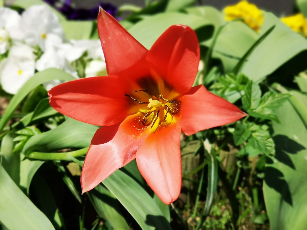 [Obrazek: IMG-20190418-120151.jpg]