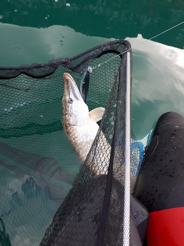 WhatsApp Image 2019-12-01 at 14.05.06