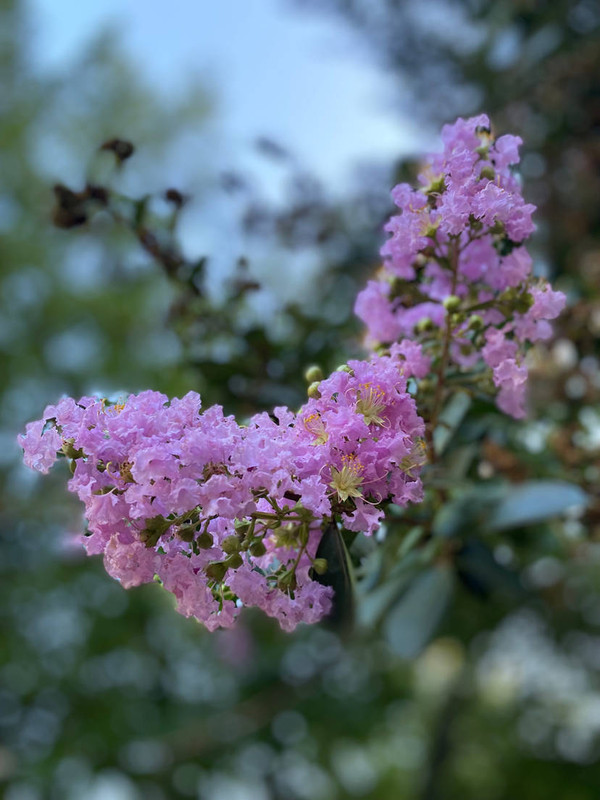 if_i_could_just_quite_reach_by_emmapeterson_dg90eaw-414w-2x