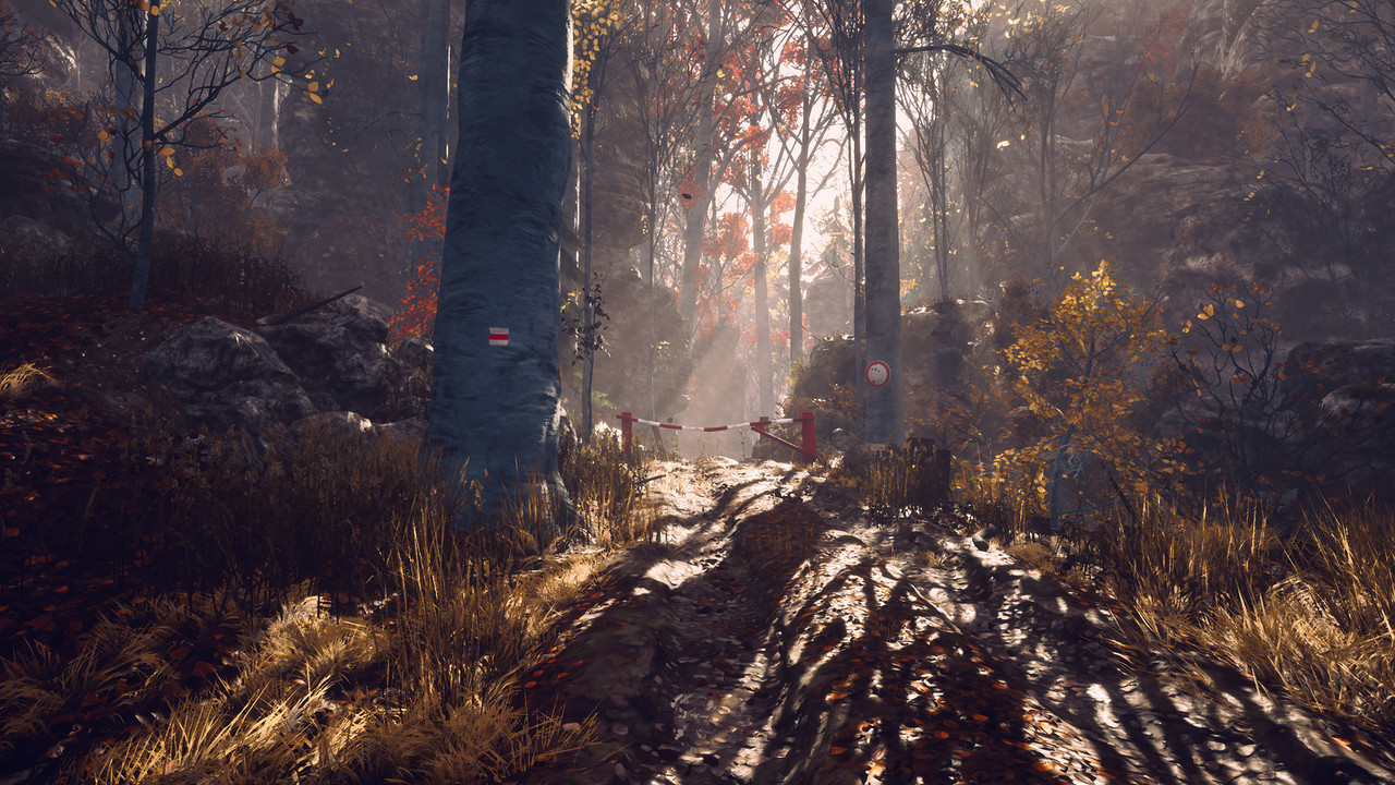 Click to enlarge Image error