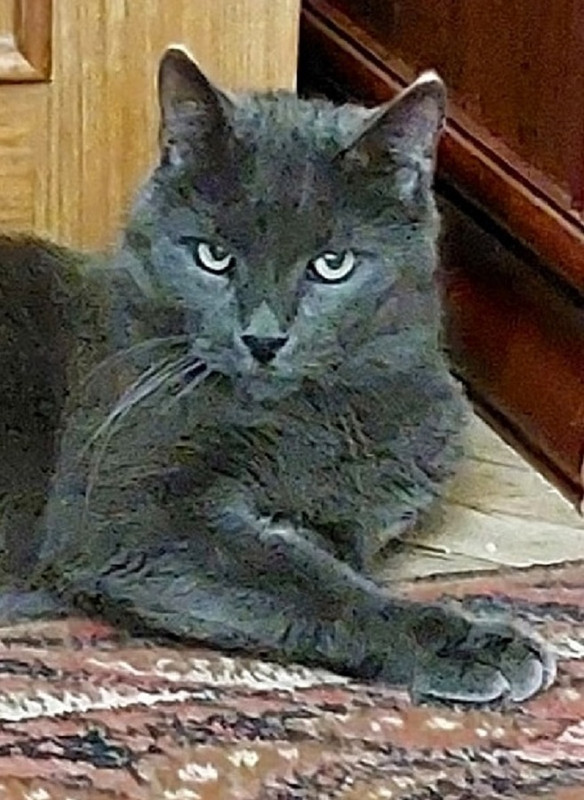 lDho0gXCC9C2ZuK_kNnl_76XjrNjx_w38_9hZ3FAmUo3UyVr98_YnC06nWNtbVRKZhqlhN6eZ4_3OC8J914BsPJv - копия