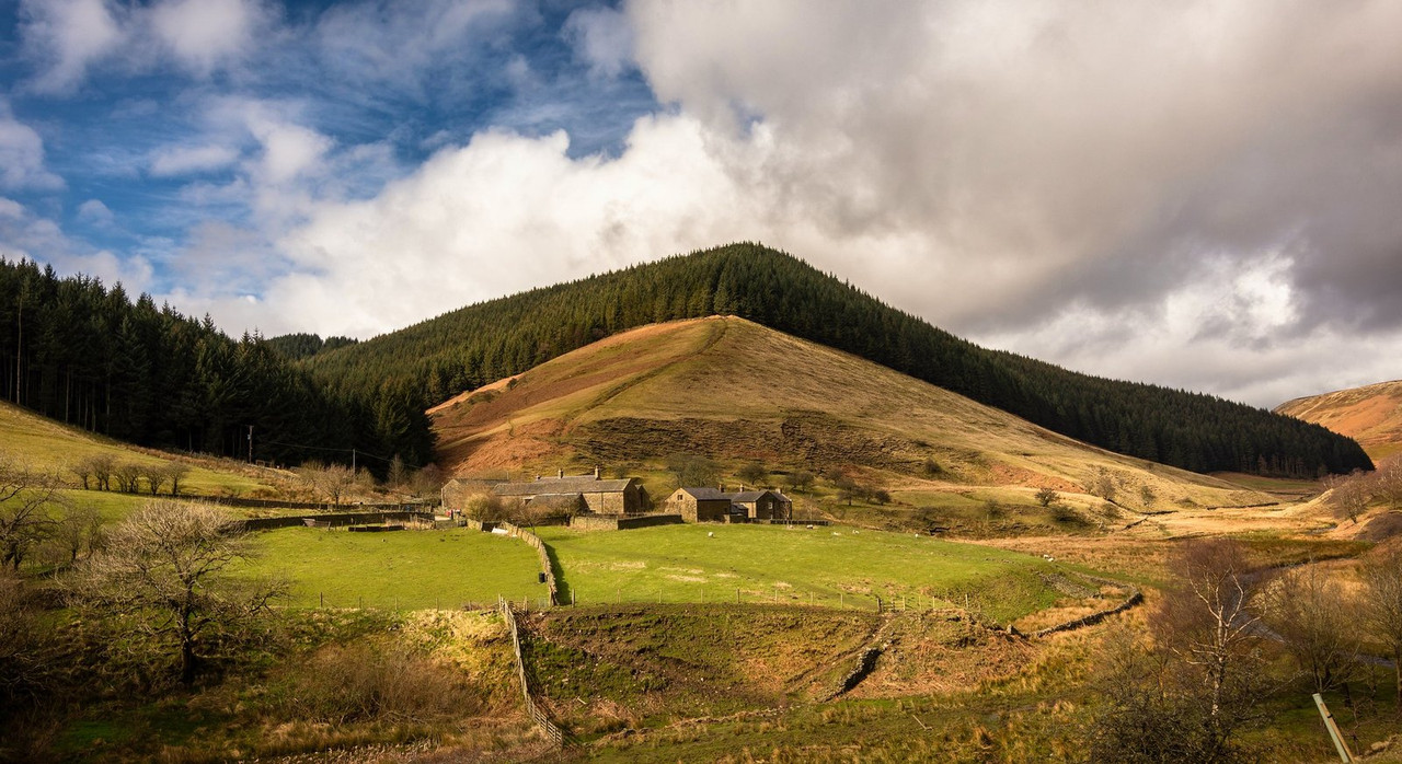 green-farm-hill.jpg