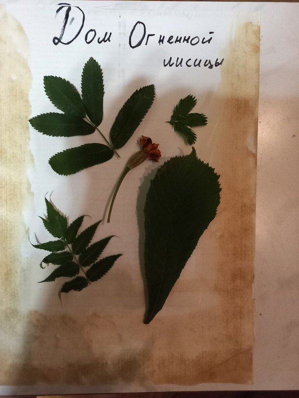 r6Q-h6OSXN7pP2wErHa6aap16HNoGqldRUQals4WLht7E9gqakj6JJaYMfqp0J8z5JxIvvAXPrwJycQU4gNCGuGv