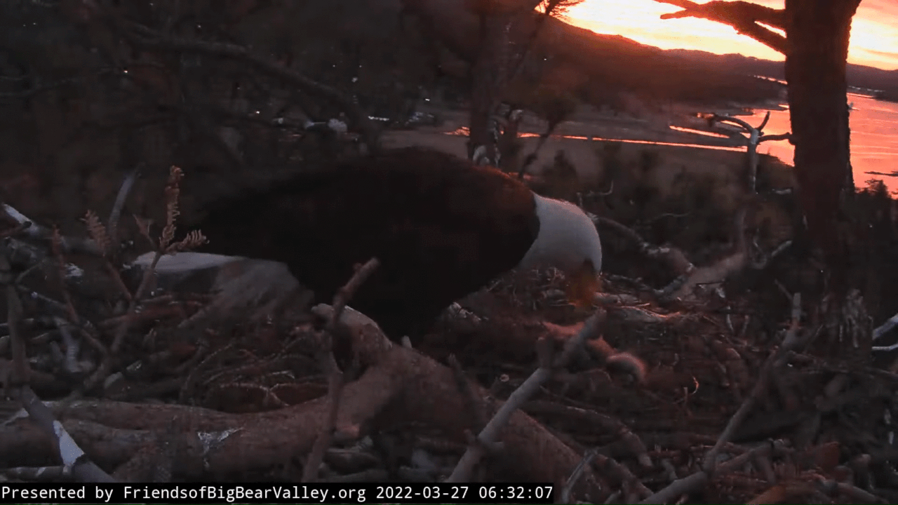 Webp.net-gifmaker (7)