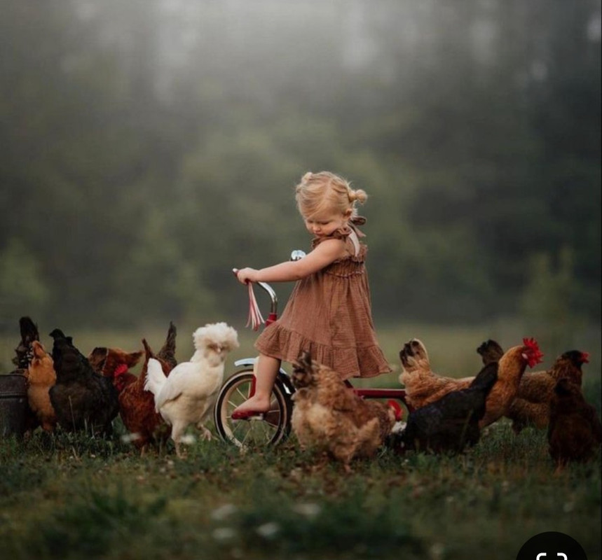 Screenshot_20240610_221525_Pinterest