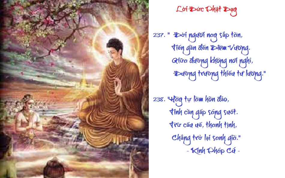 [Image: VERSE237238.jpg]