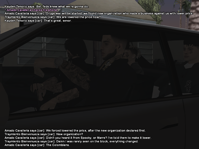 SS1.png