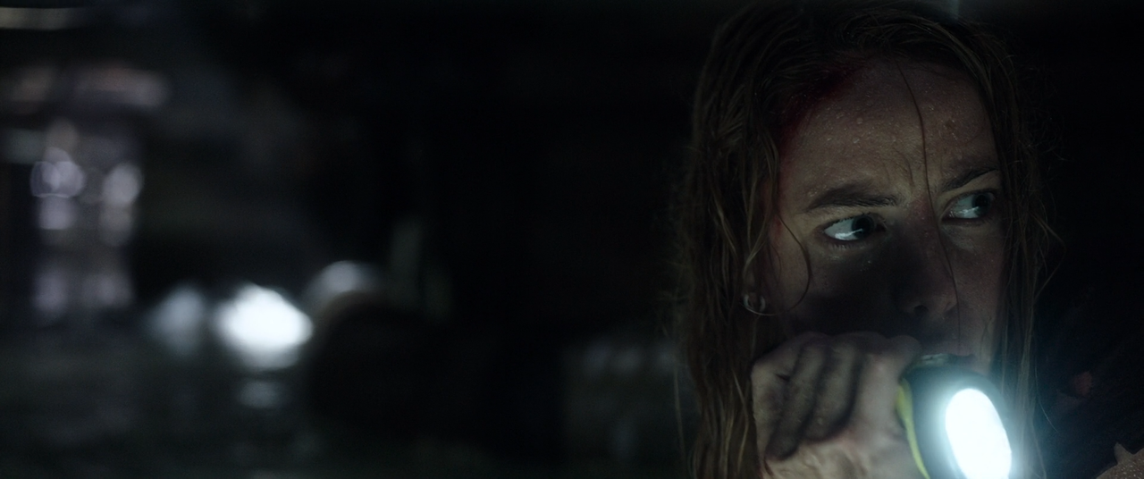 Crawl - Intrappolati (2019) [BluRay Rip 1080p ITA-ENG -AC3 SUBS]