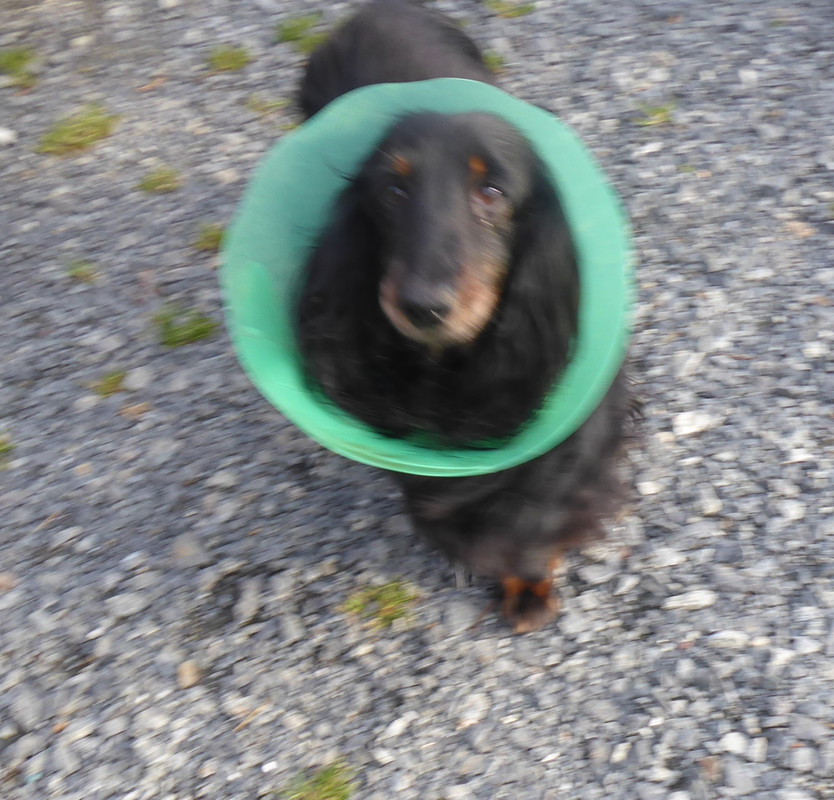 [Image: P1040668.jpg]