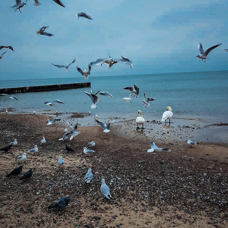 IMG_20211229_214736_060