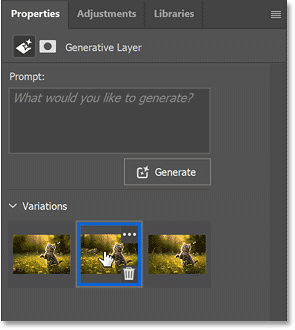generative-expand-variations-properties-panel