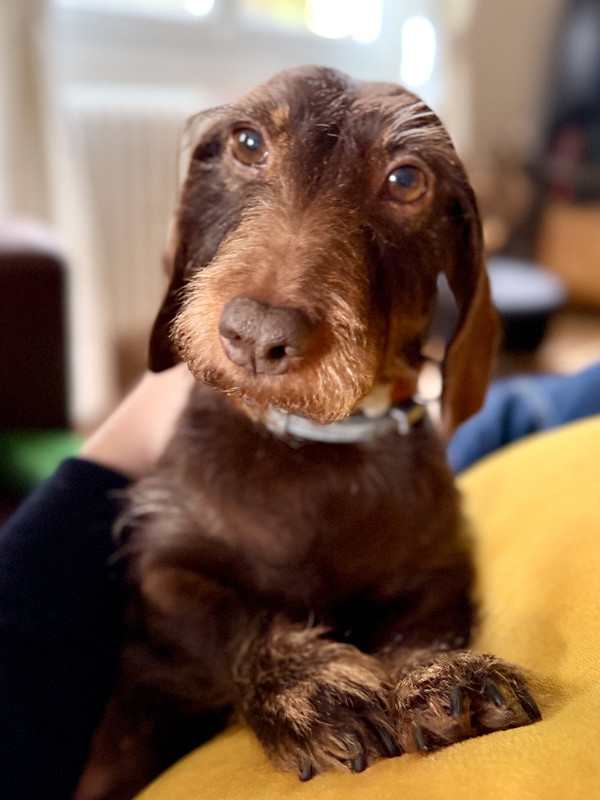 [Image: IMG-0322.jpg]