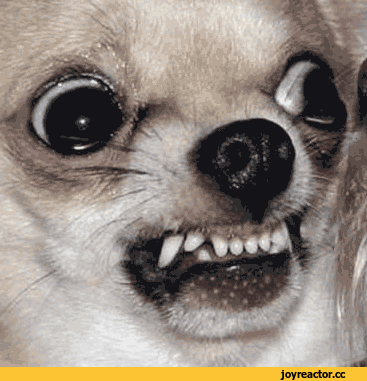 wxzh3qj.gif
