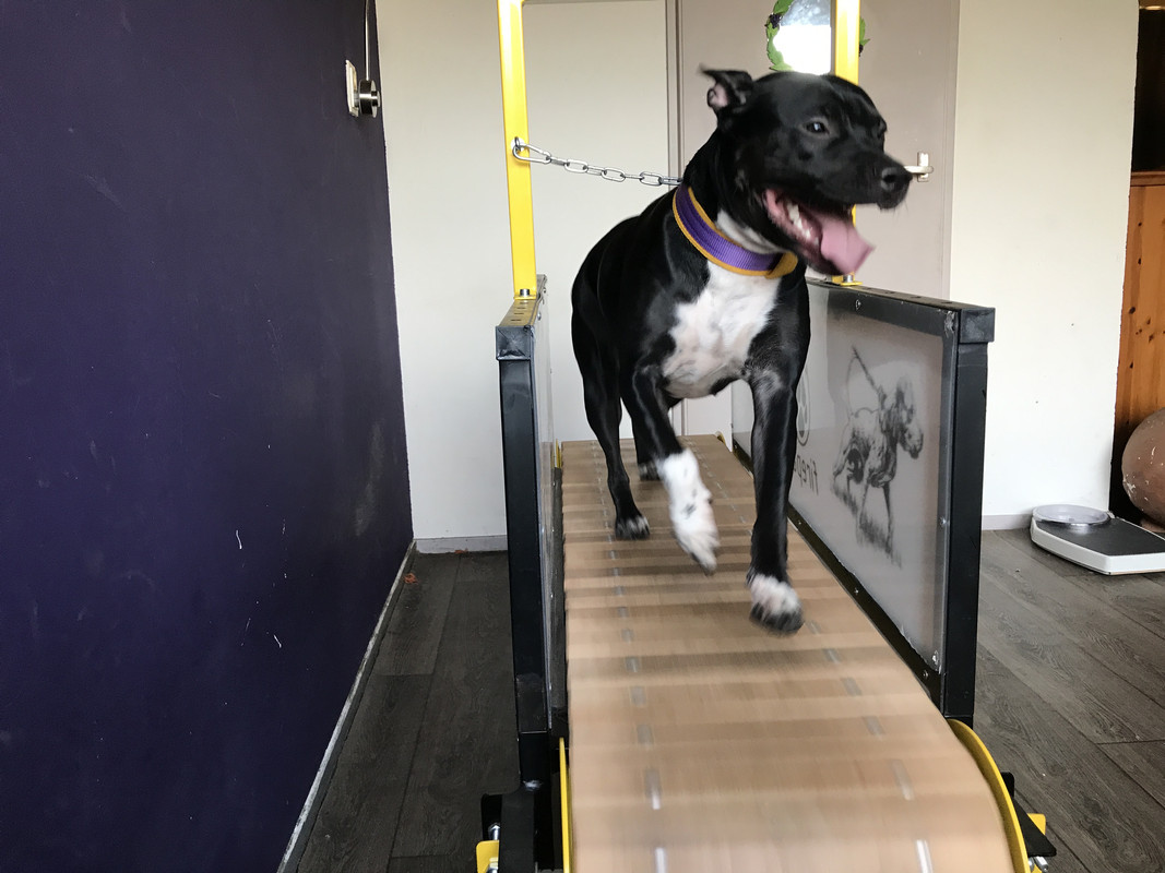 6CDA620C-116A-4249-95A9-E6ABD6E8B957