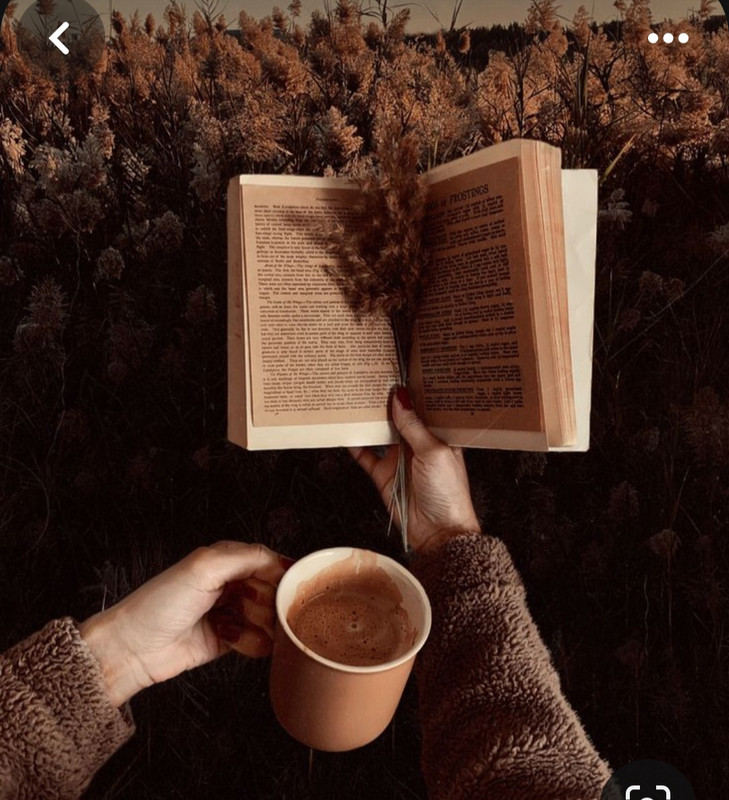 Screenshot_20231122_212614_Pinterest