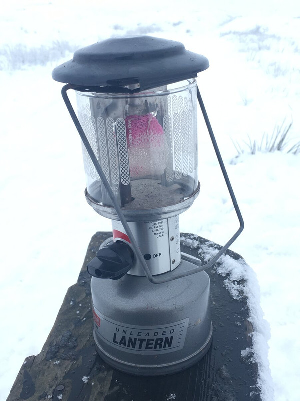 D1377087-C00D-4F31-8BF4-F10568CBE456