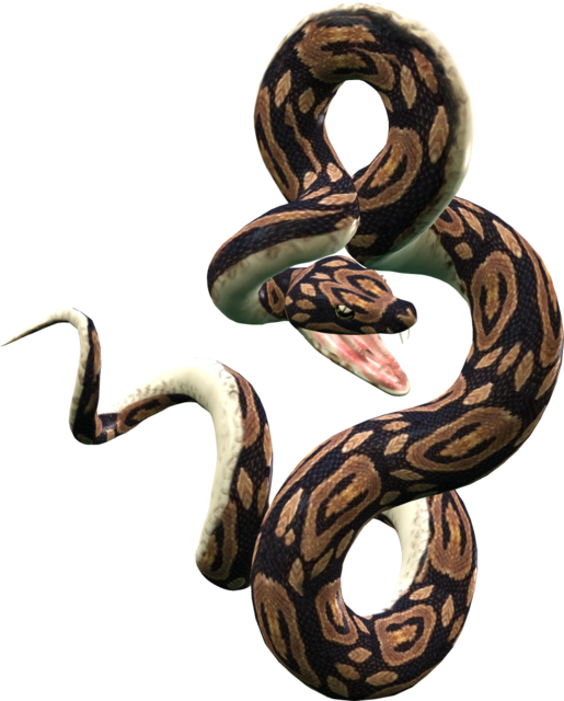 snake-transparent-8