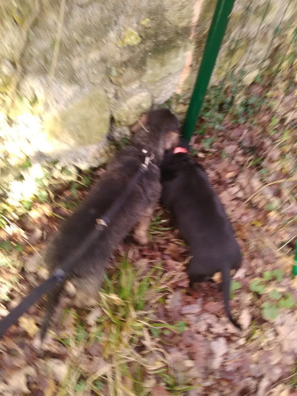 [Image: IMG-20230115-145957.jpg]