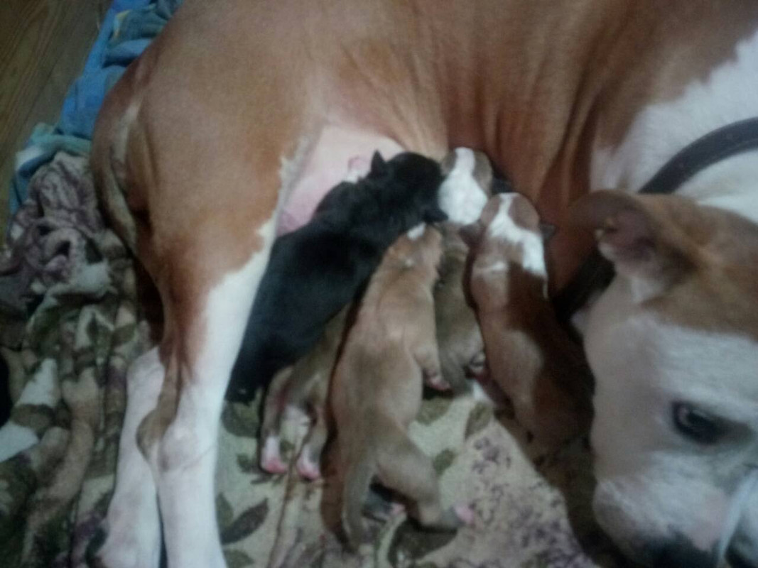 IMG-023028d5a55ad33c497574d9b0e9dc8b-V