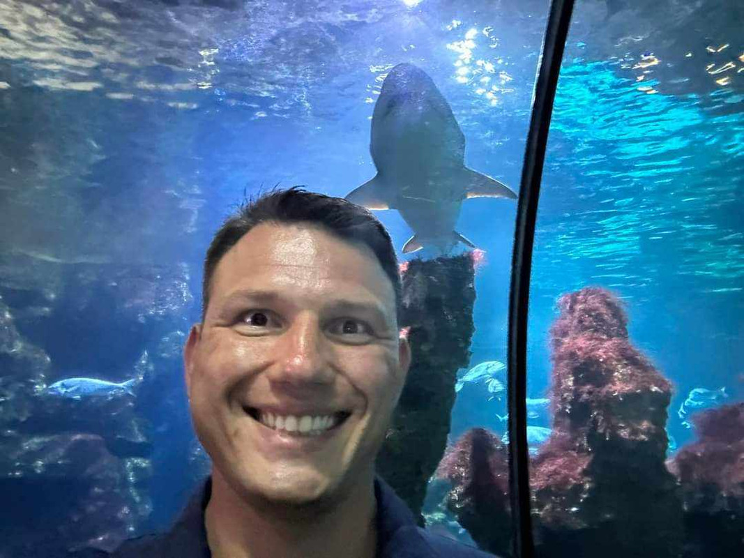 [Obrazek: received-834171751669095.jpg]