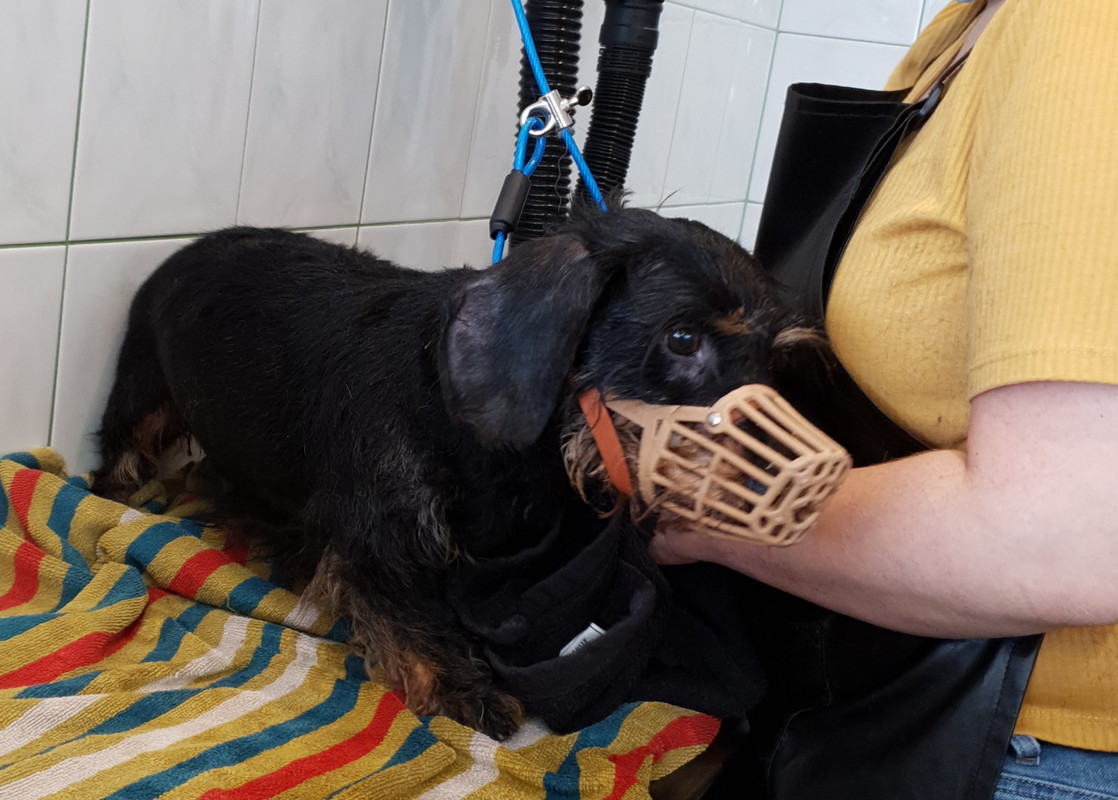 [Image: 20210709-112943.jpg]