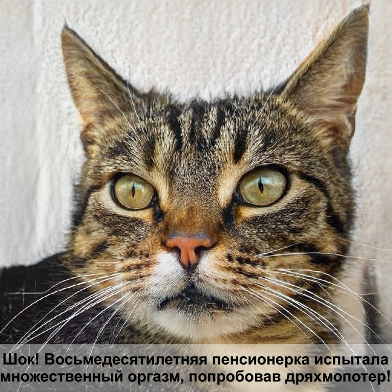 как сделать лежак для кошки своими руками из свитера