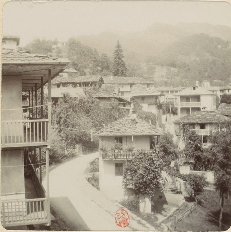 03-Vi.jpg