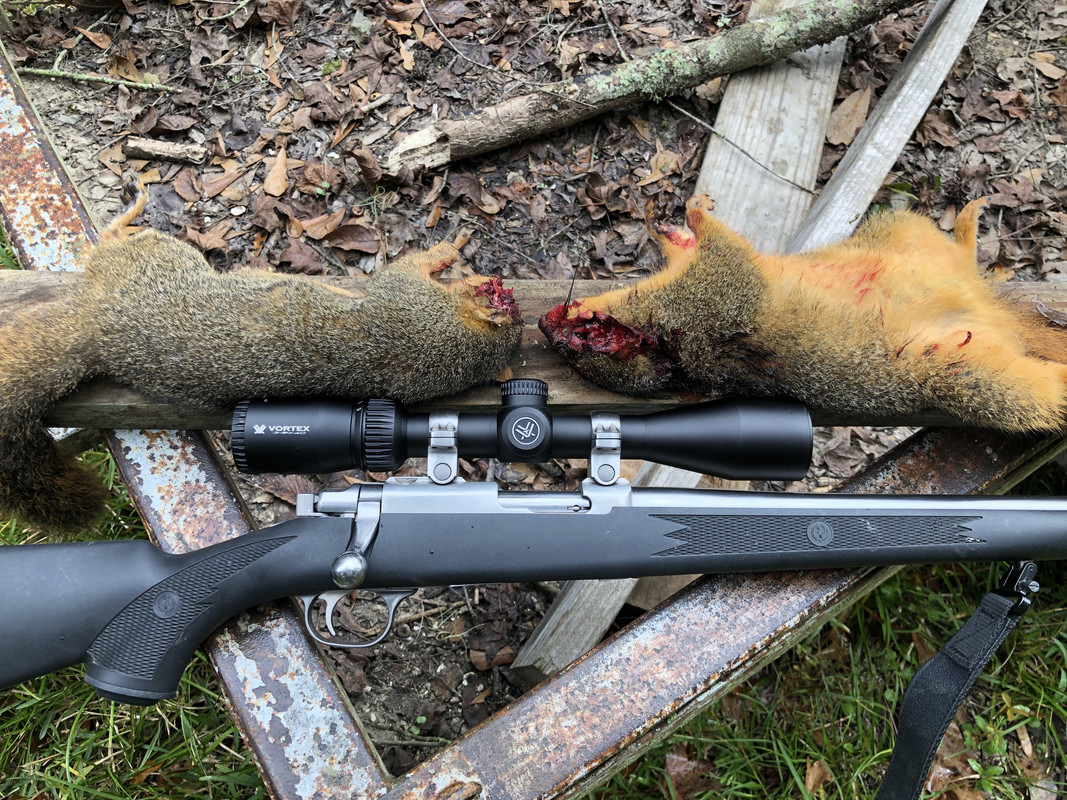 8ED4B545-B263-4096-AA96-4BAA68A7A3C9