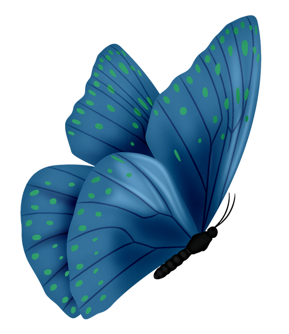 PeacockDreams_MM_Element (42)