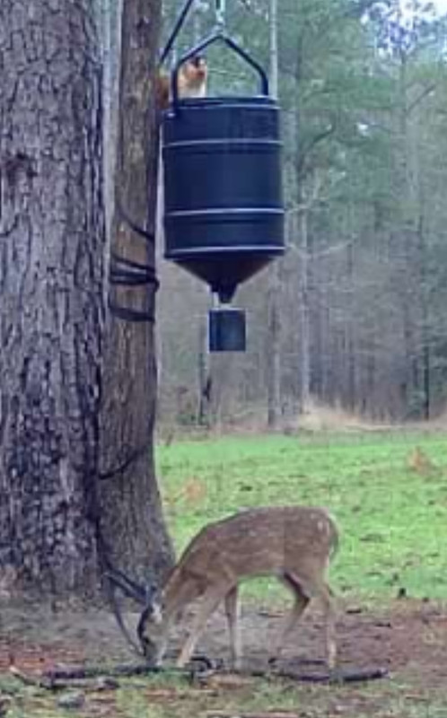 Screenshot_20250210_072506_Reveal