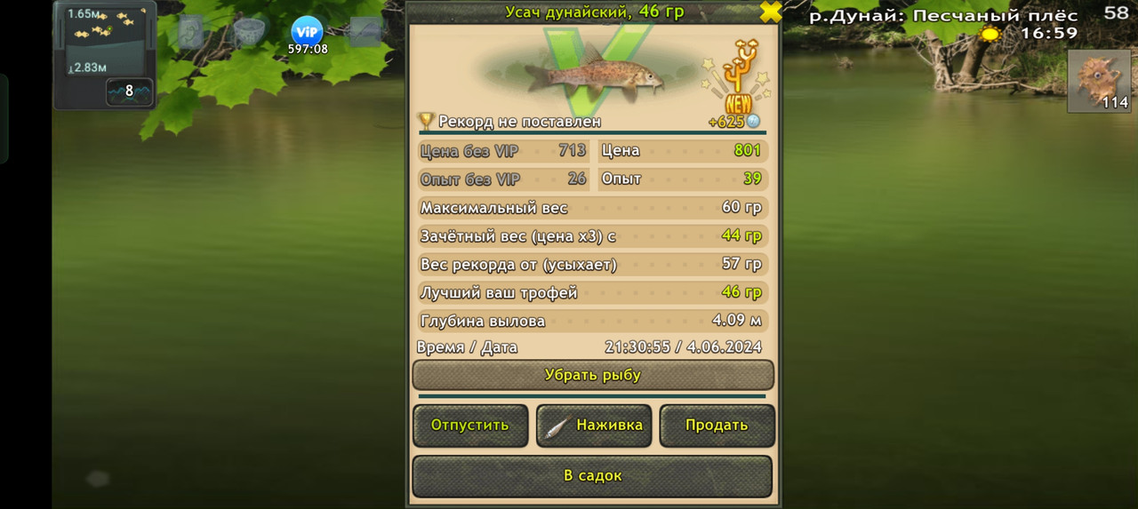 Screenshot-2024-06-04-21-31-02-81-fa28ee
