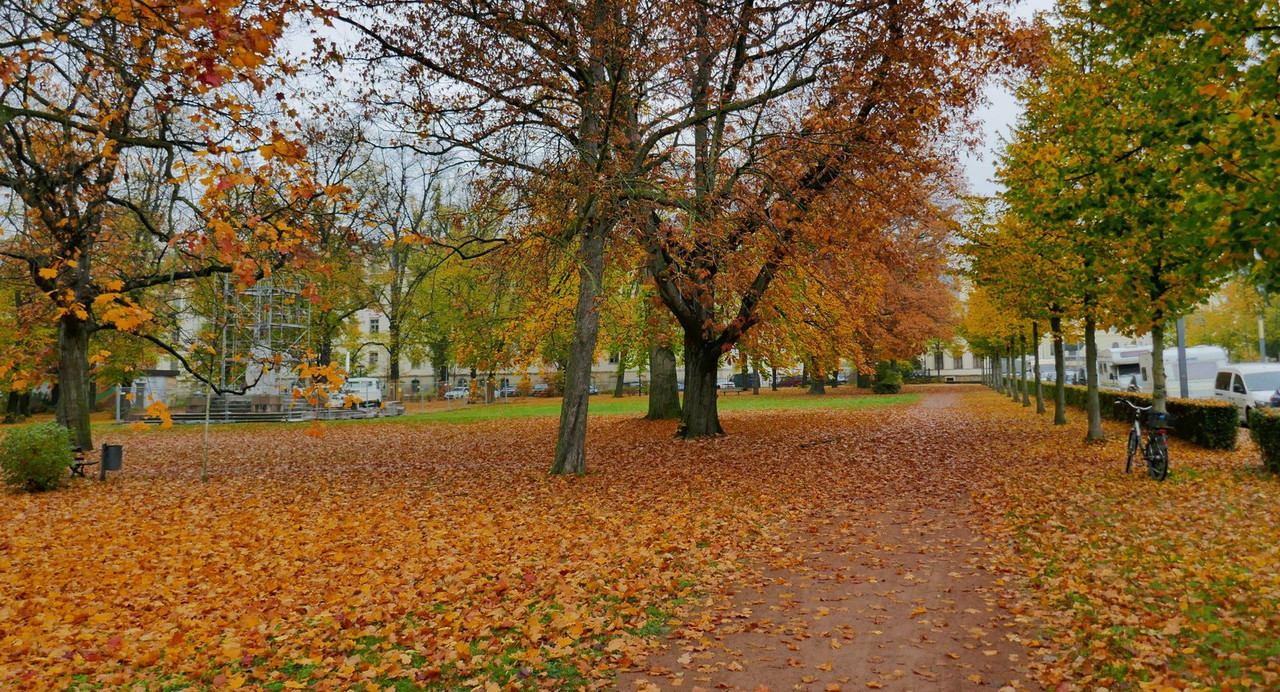 Bild: https://i.postimg.cc/FFkTGDkm/P1240392.jpg
