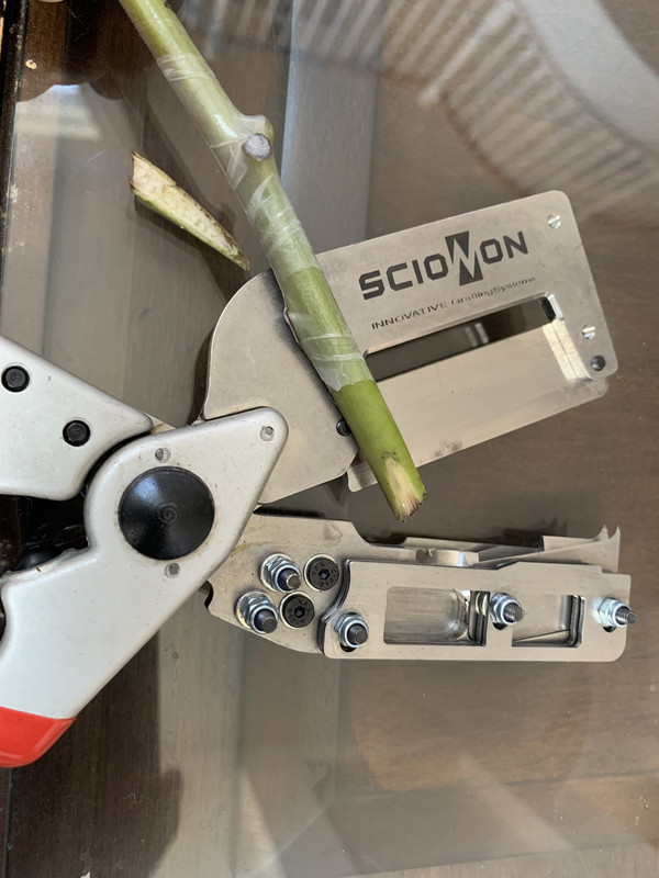 C5308B1A-0FAD-4991-BD7C-C4ACDAC69711